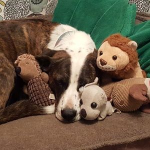 Meet your Posher, Karen